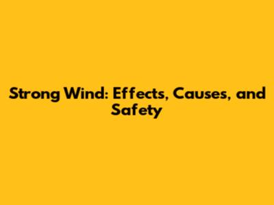 Strong Wind: Effects, Causes, and Safety
