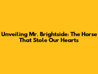Unveiling Mr. Brightside: The Horse That Stole Our Hearts