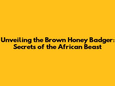 Unveiling the Brown Honey Badger: Secrets of the African Beast