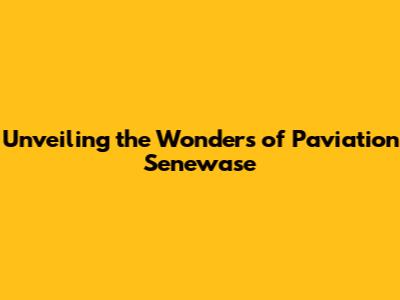 Unveiling the Wonders of Paviation Senewase