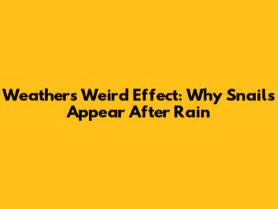 Weather's Weird Effect: Why Snails Appear After Rain