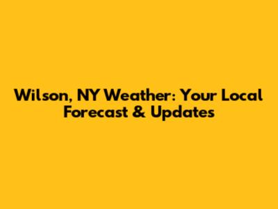 Wilson, NY Weather: Your Local Forecast & Updates