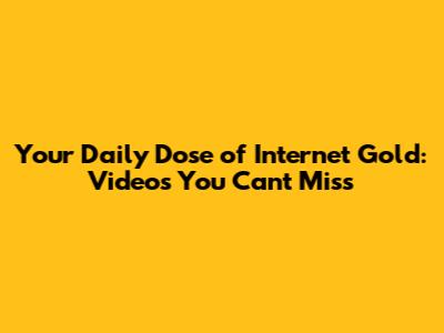 Your Daily Dose of Internet Gold: Videos You Can't Miss