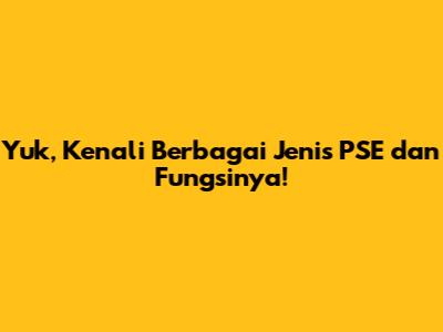 Yuk, Kenali Berbagai Jenis PSE dan Fungsinya!