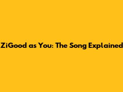ZiGood as You: The Song Explained