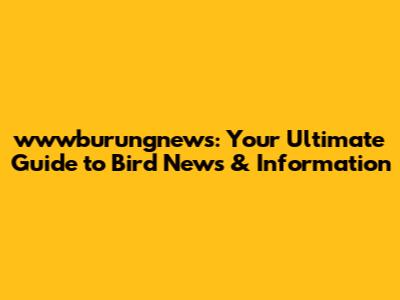 wwwburungnews: Your Ultimate Guide to Bird News & Information